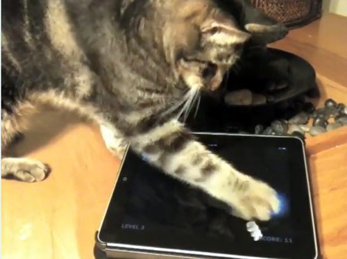 � ��� ������������ ���� �����? - ���� 2