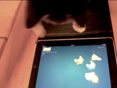 � ��� ������������ ���� �����? - ���� 3