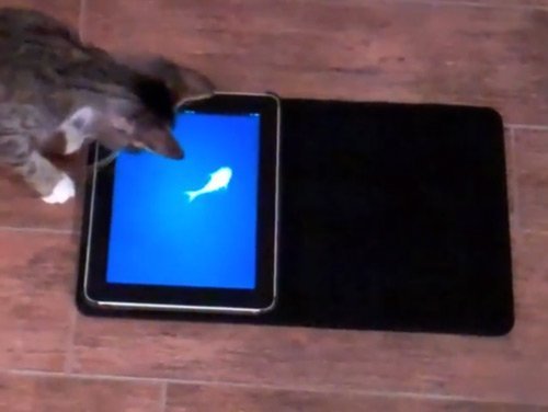 � ��� ������������ ���� �����? - ���� 4