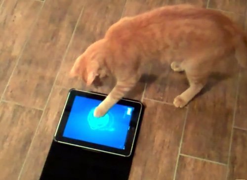 � ��� ������������ ���� �����? - ���� 5